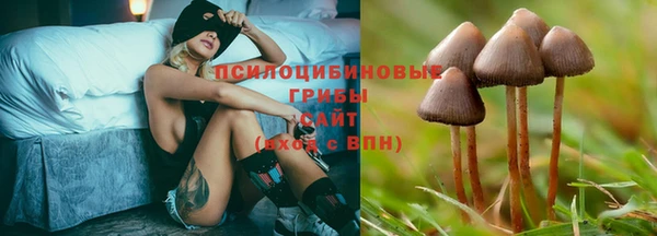 Альфа ПВП Алзамай