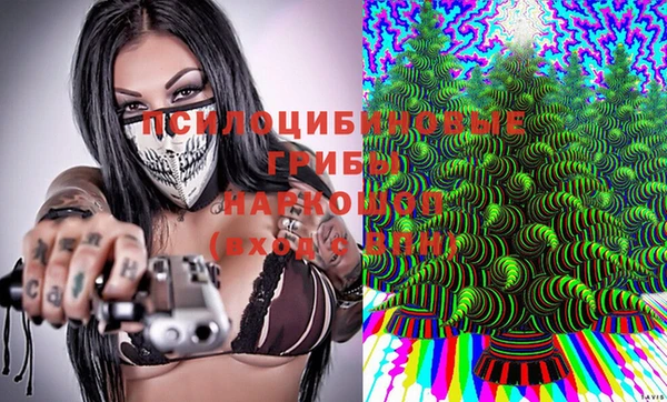 Альфа ПВП Алзамай