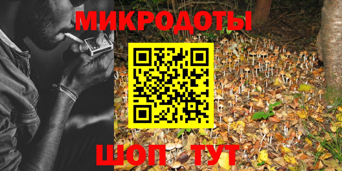 Галлюциногенные грибы Cubensis  Псилоцибиновые грибы мицелий  Сосновый Бор  Вход с VPN 